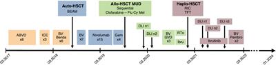 Remission of relapsed/refractory classical Hodgkin lymphoma induced by brentuximab vedotin and pembrolizumab combination after allogeneic hematopoietic stem cell transplantation: a case report